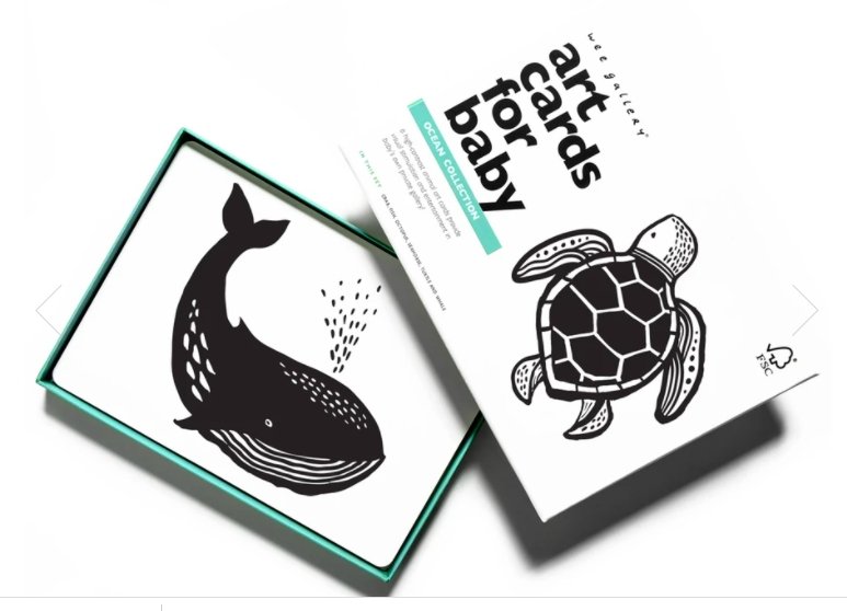 Art Cards for Babies - Ocean