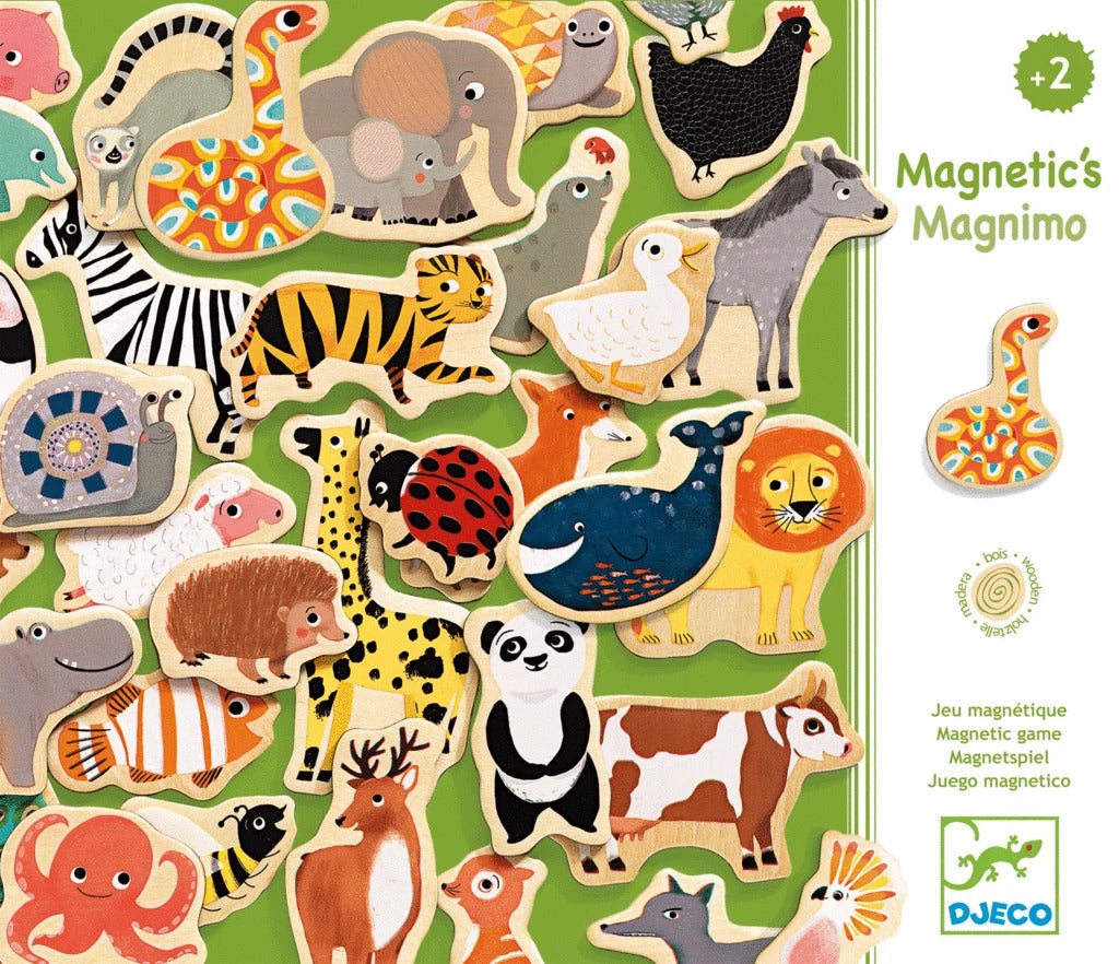 Magnimo Magnetic Puzzle