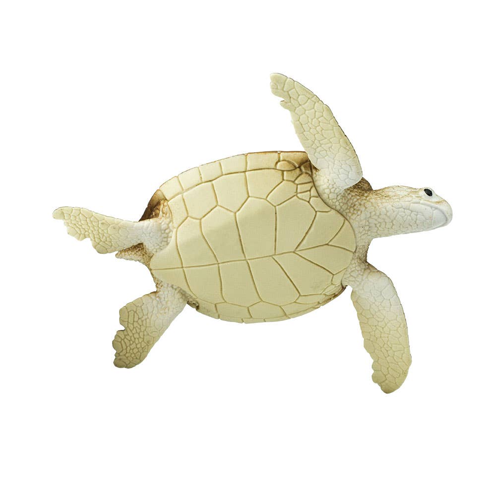 Green Sea Turtle - 202329