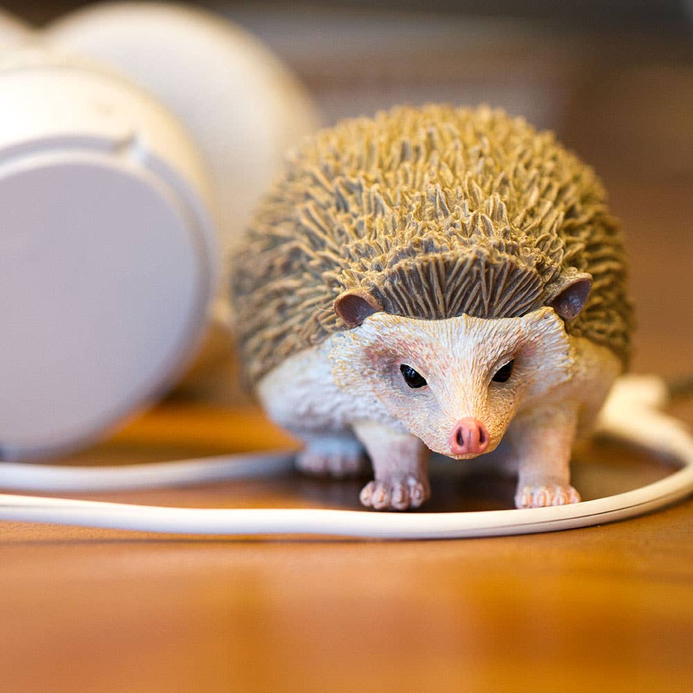 Hedgehog - 261129