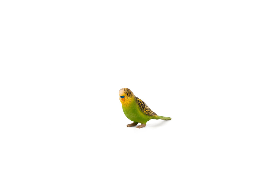 MOJO Budgerigar (Green)