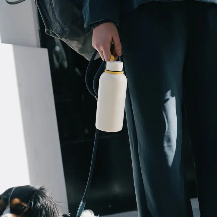 Insulated Reusable Bottle | 12 oz