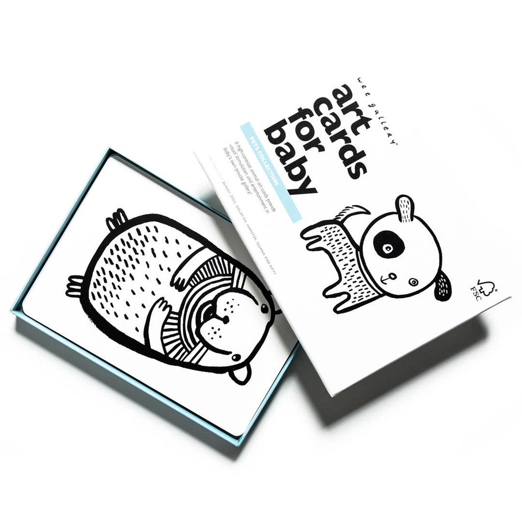 Art Cards for Baby | Pets