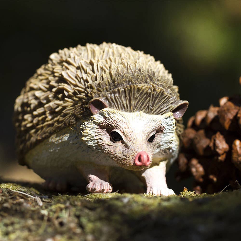 Hedgehog - 261129