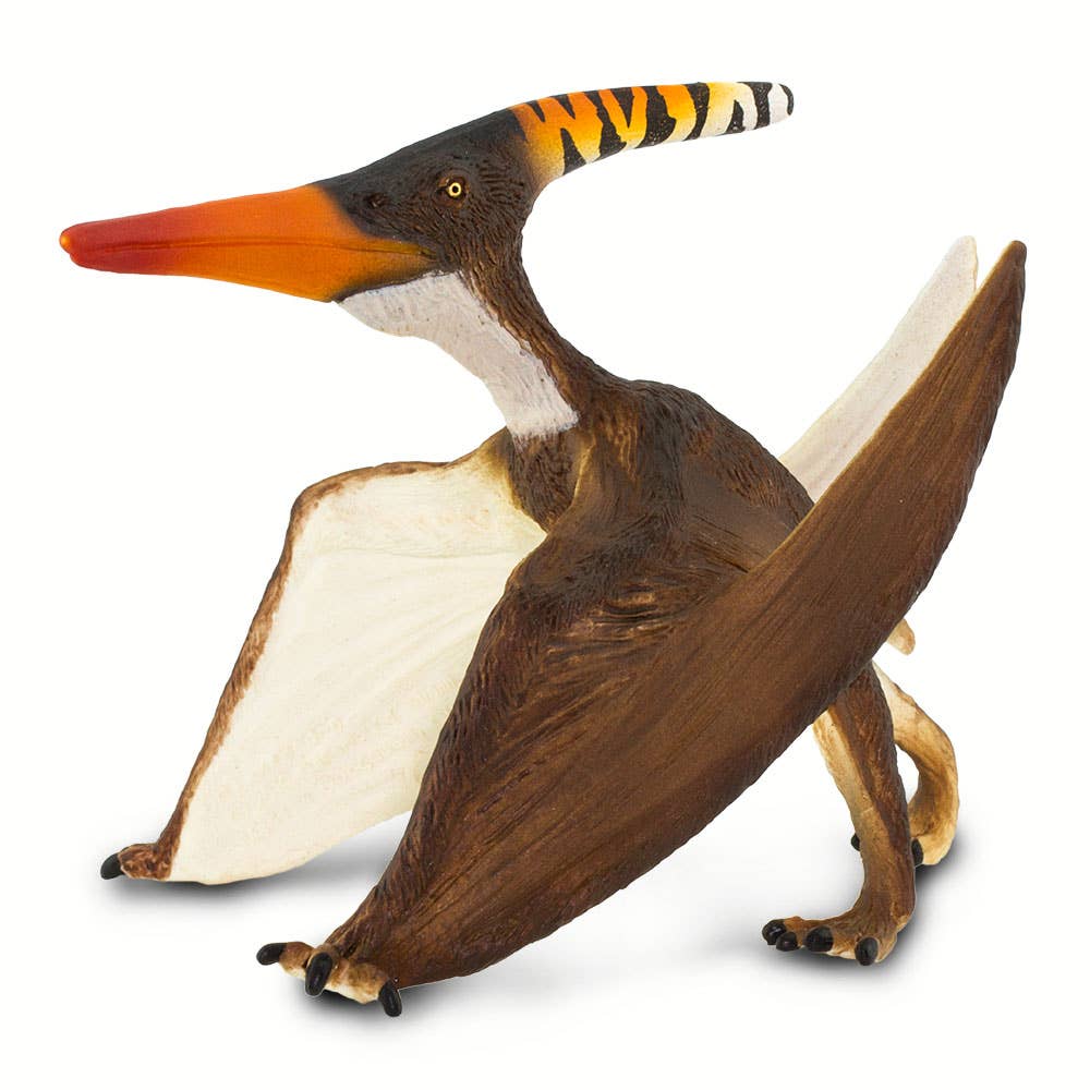 Pteranodon - 100301