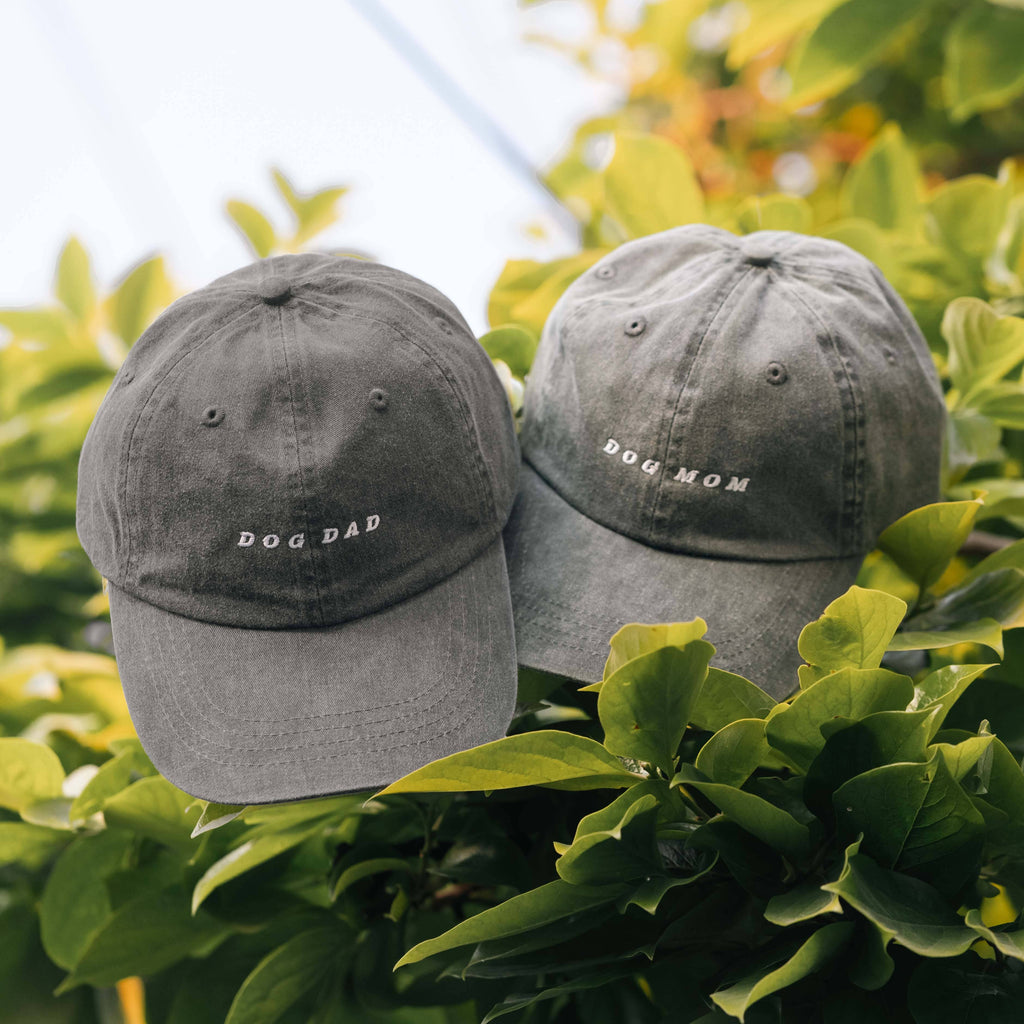 Dog Dad Embroidered Hat