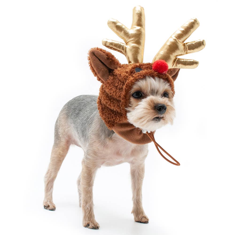 Rudolph Hat