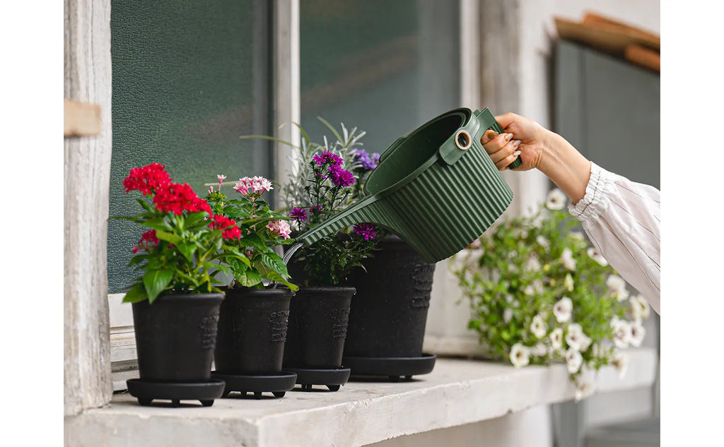 Hachiman Garden Beetle Watering Cans