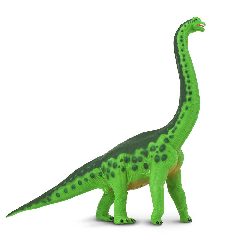 Brachiosaurus - 278229