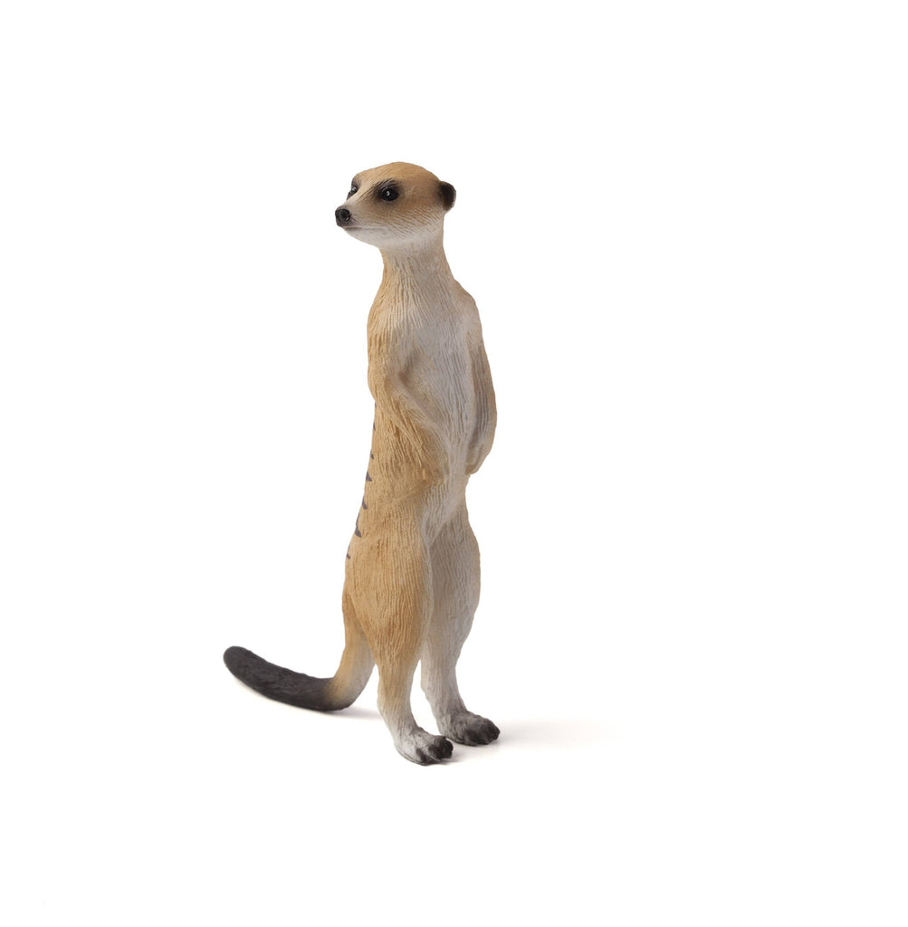 MOJO Meerkat