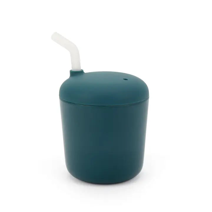 Sippy Cup with Straw