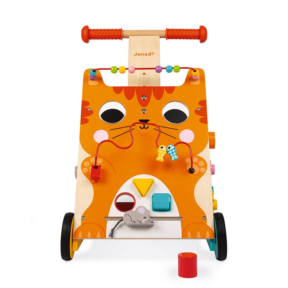 Multi-activities Cat Baby Walker