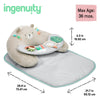Cozy Prop 4-in-1 Activity Mat
