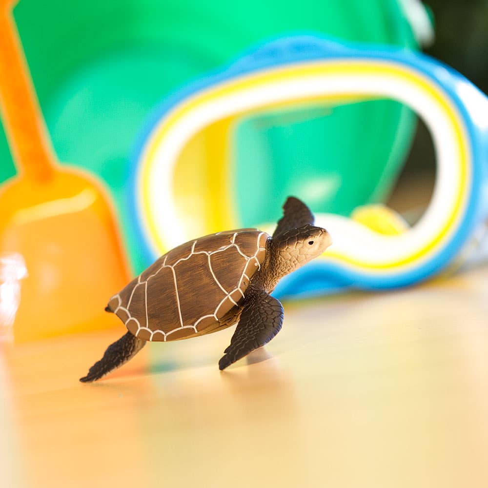 Green Sea Turtle - 202329