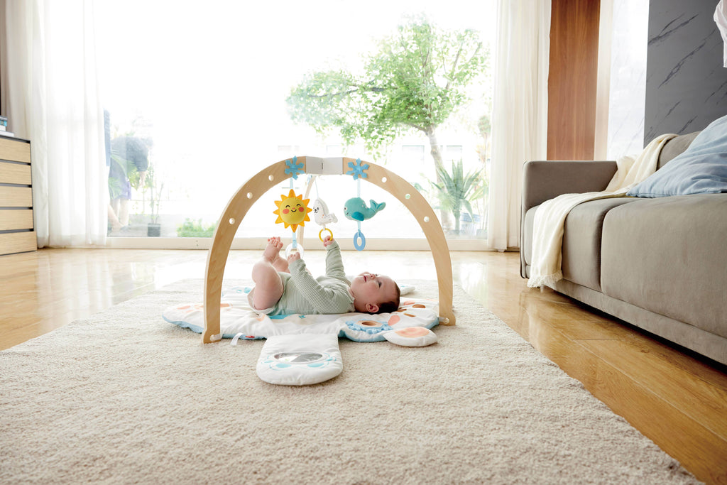 Snuggle Bear Activity Gym