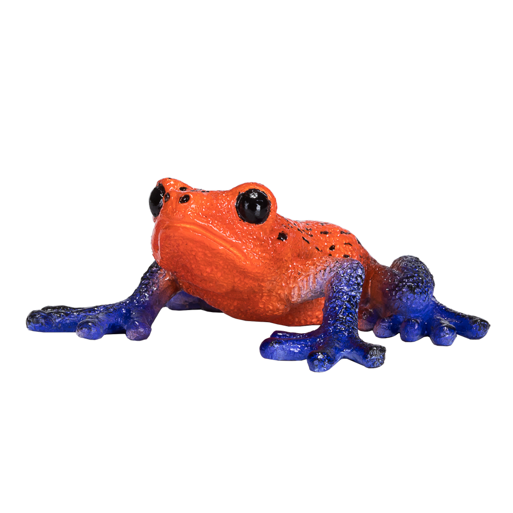 MOJO Poison Dart Tree Frog