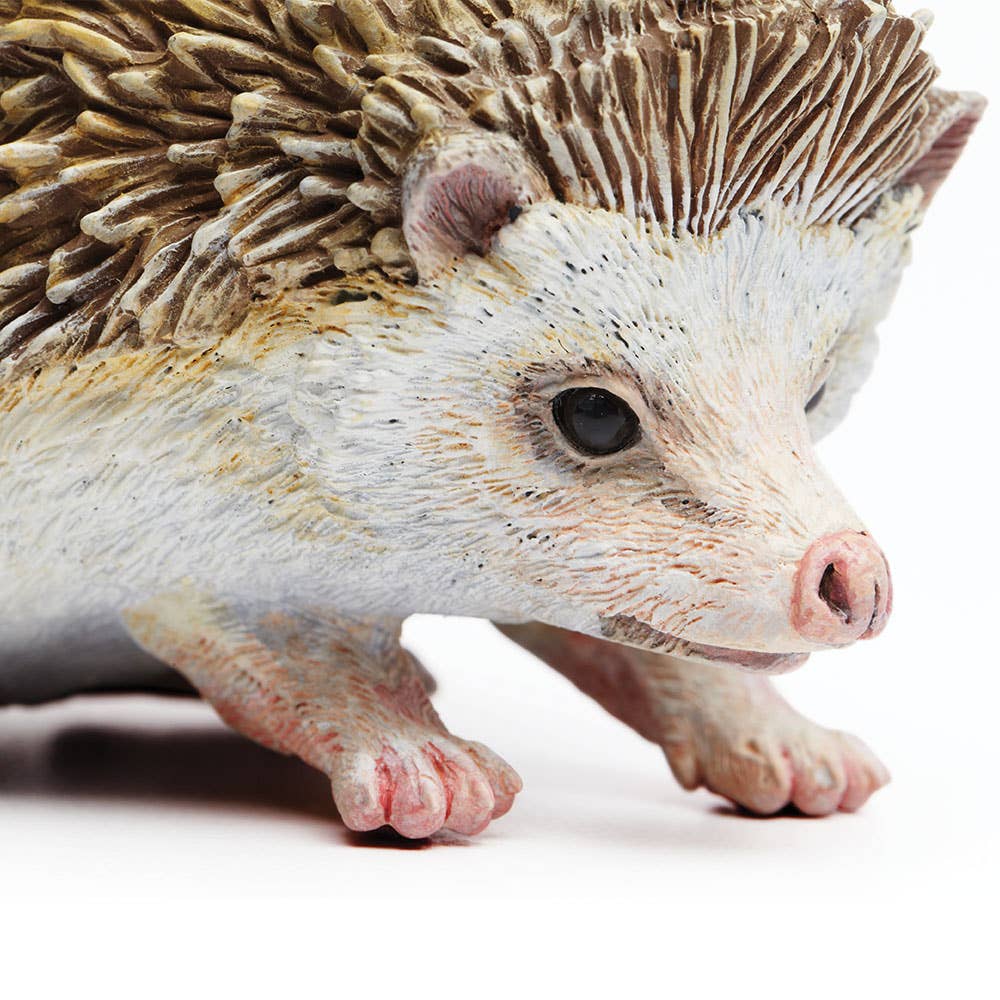 Hedgehog - 261129