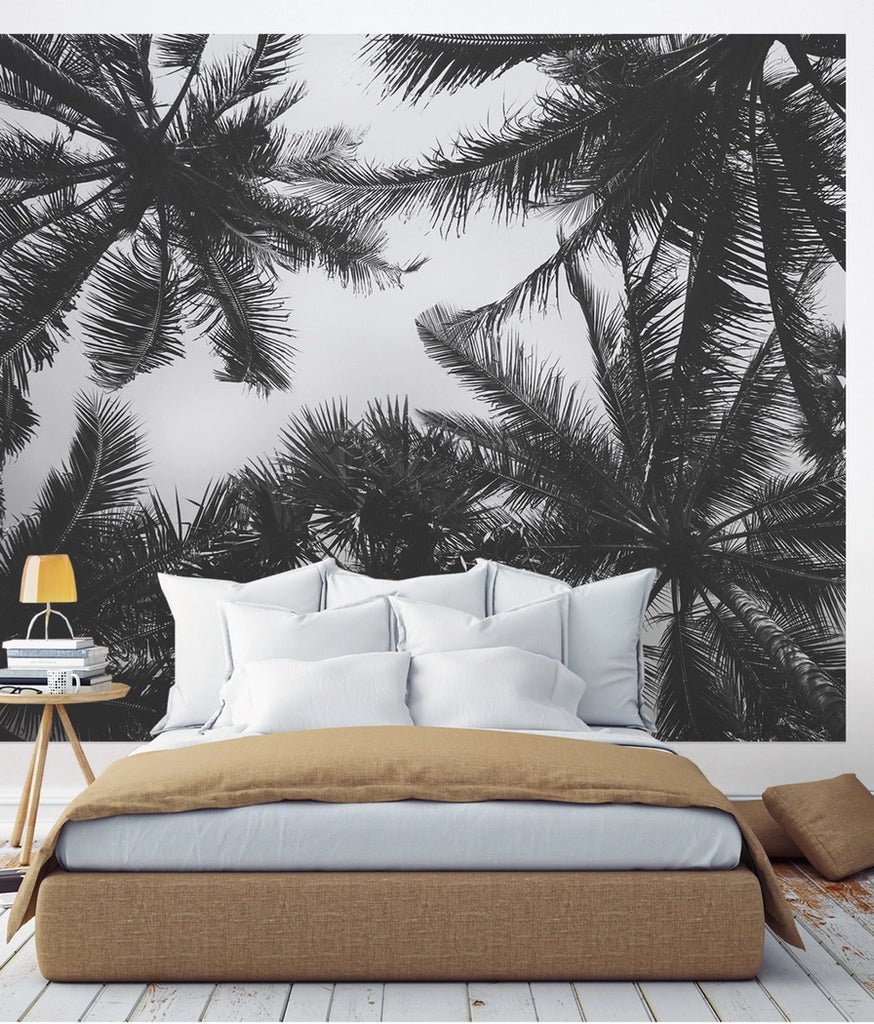 Palm Tree Photograph Wall Art