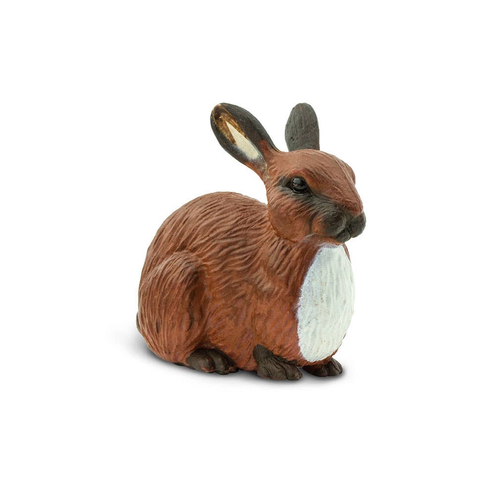 Rabbit - 245429