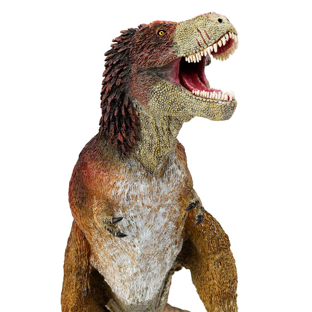 Feathered Tyrannosaurus Rex - 100031