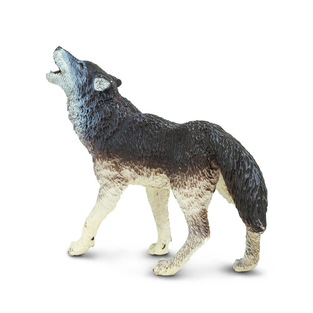 Gray Wolf - 273829