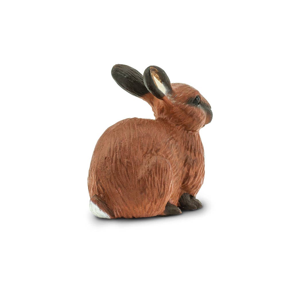 Rabbit - 245429