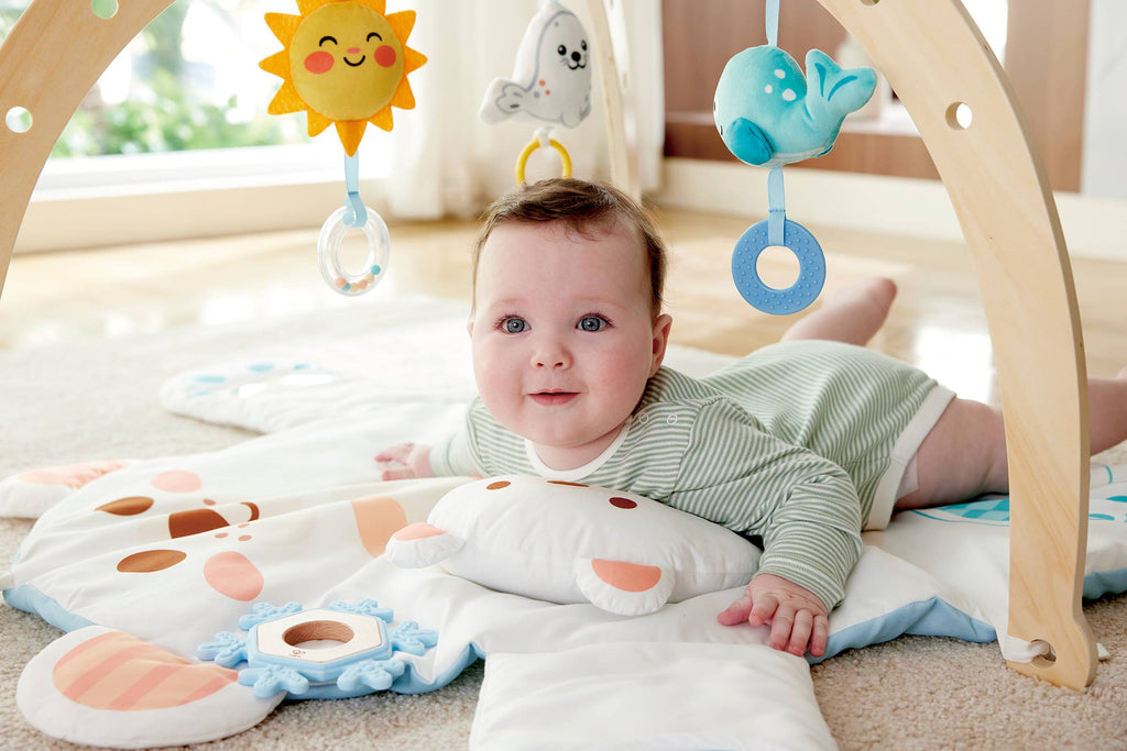 Snuggle Bear Activity Gym