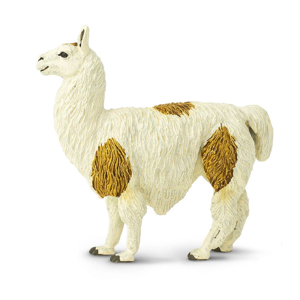 Llama - 227429
