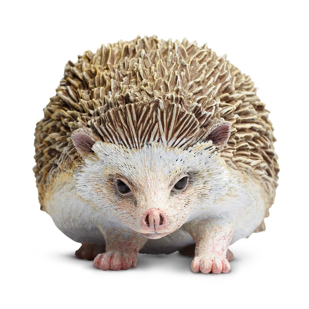 Hedgehog - 261129