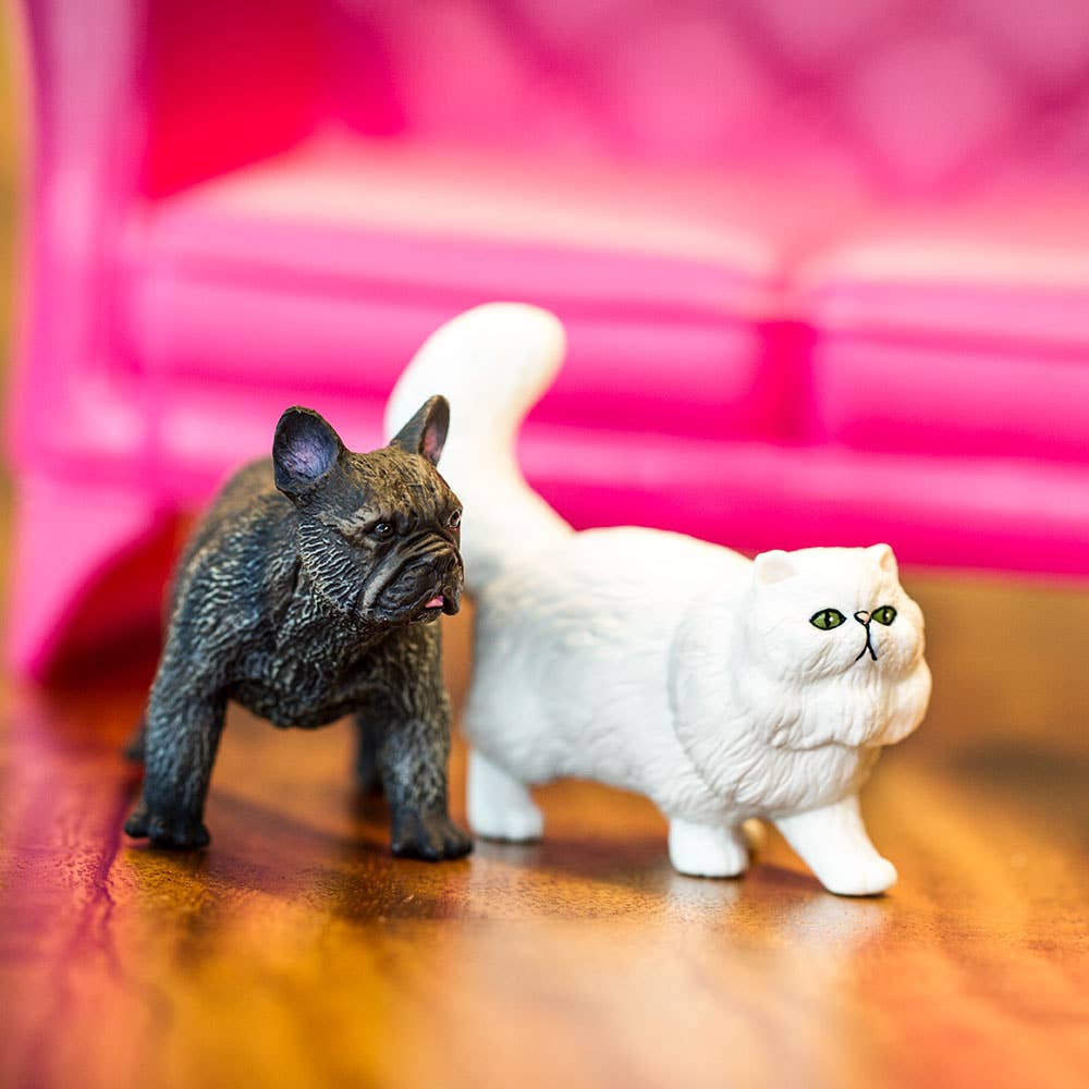 French Bulldog - 100304