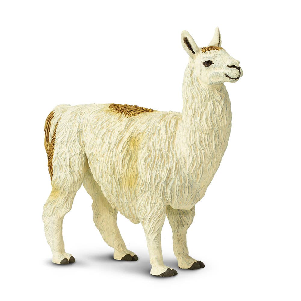 Llama - 227429