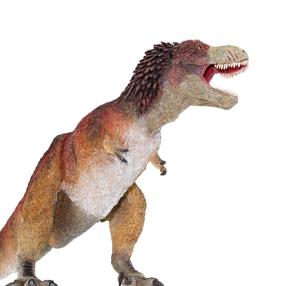 Feathered Tyrannosaurus Rex - 100031