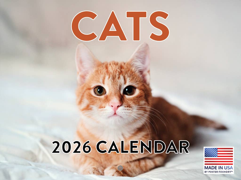 Cat Calendar 2026 Monthly Wall Calender 12 Month 18x12