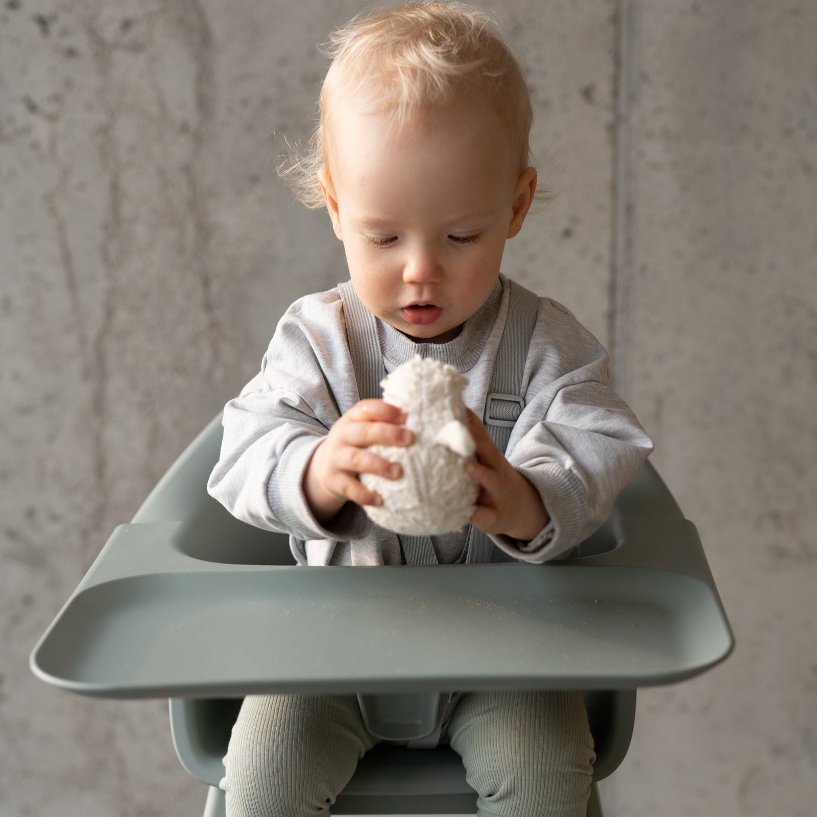 Aldea Home & Baby | Stokke Clikk High Chair