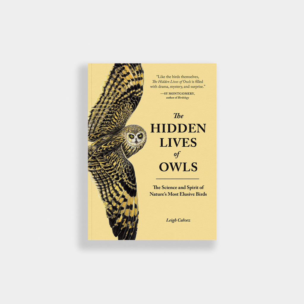 The Hidden Lives of Owls: Nature's Most Elusive Birds