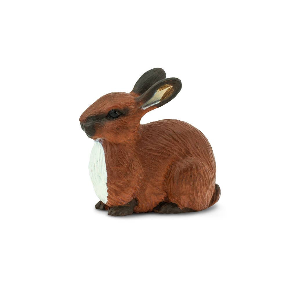Rabbit - 245429