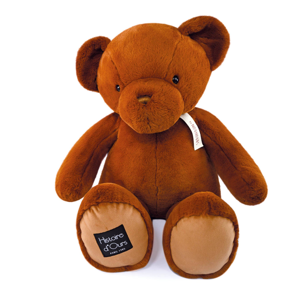 The Teddy: Cappuccino