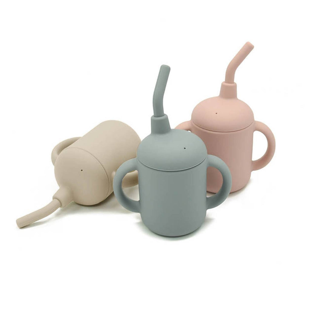 Sippy Cup with Straw- Blush