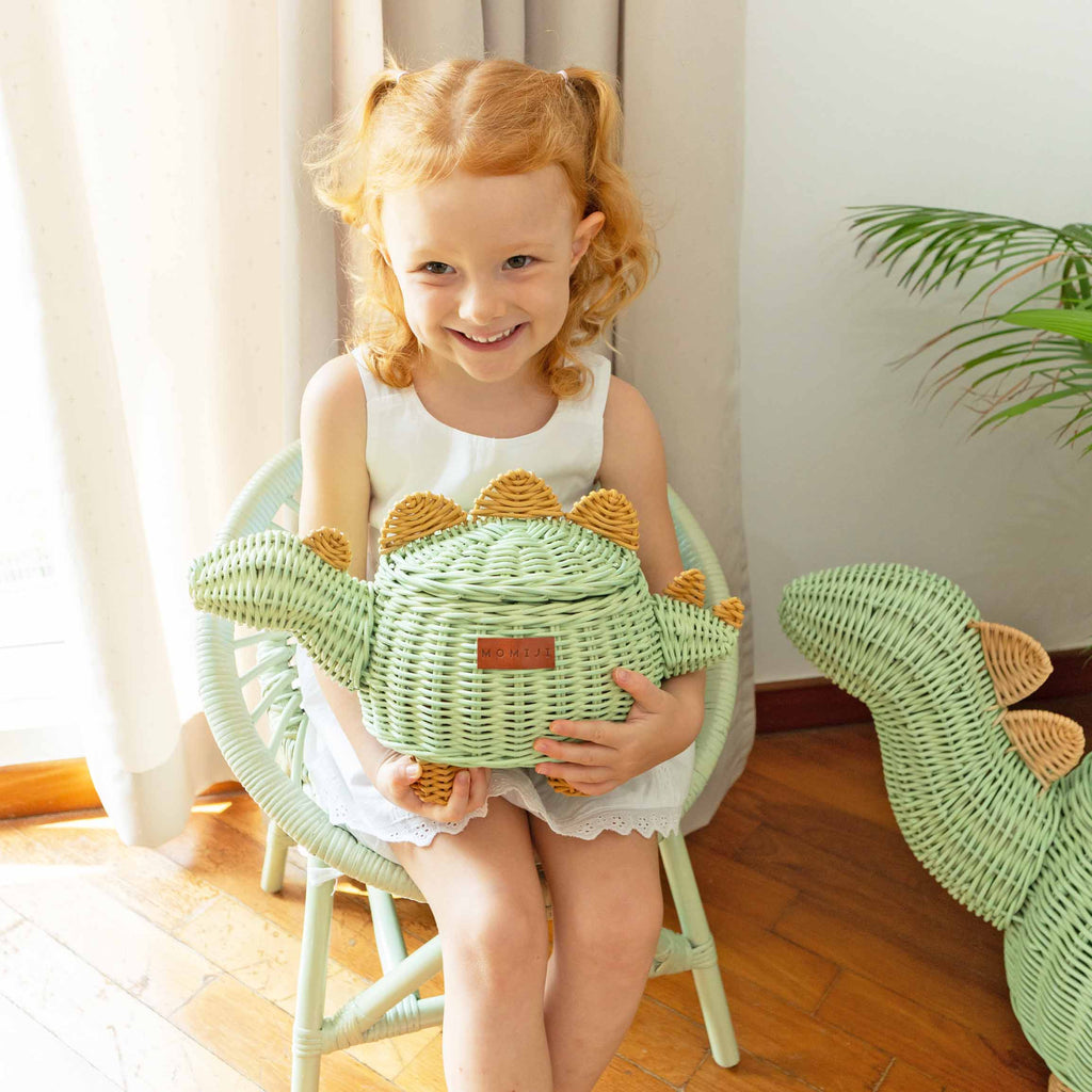 Handcrafted - Dinosaur Basket Small - Rattan Wicker