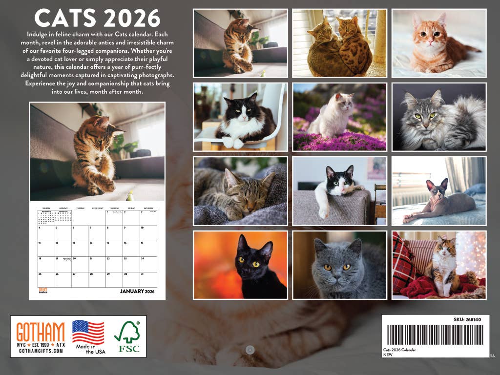 Cat Calendar 2026 Monthly Wall Calender 12 Month 18x12