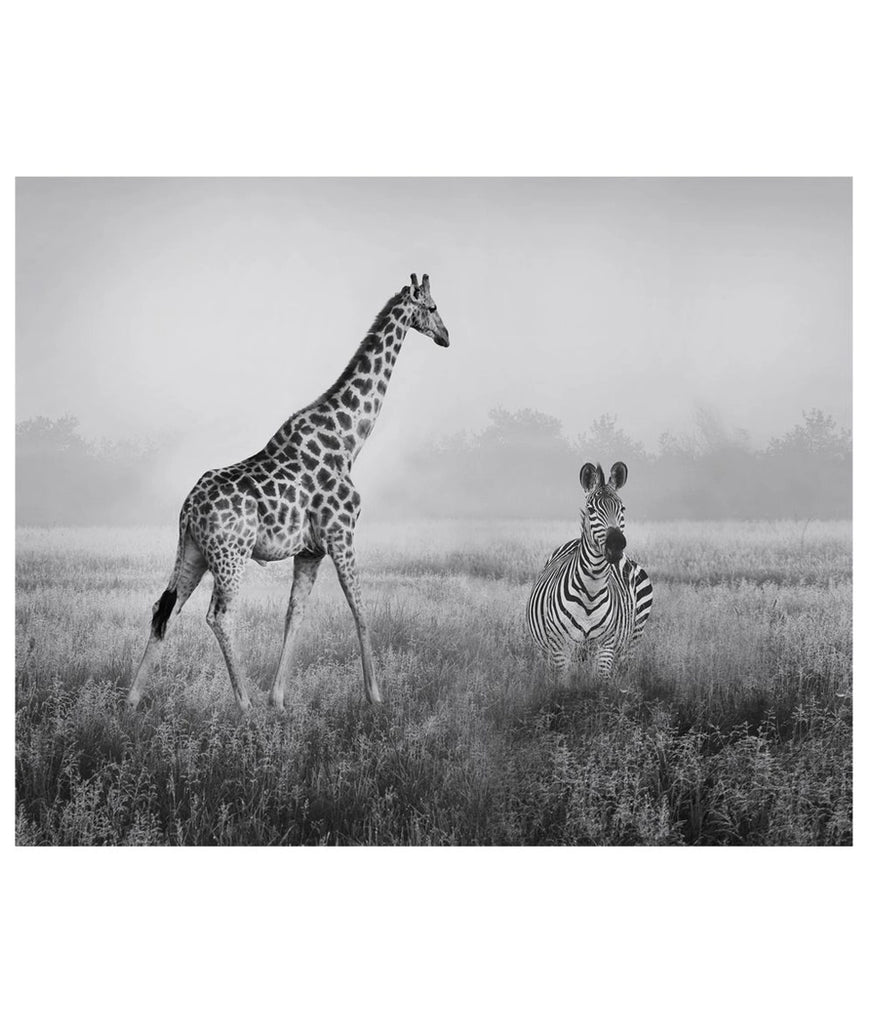 African Safari Photograph Wall Art