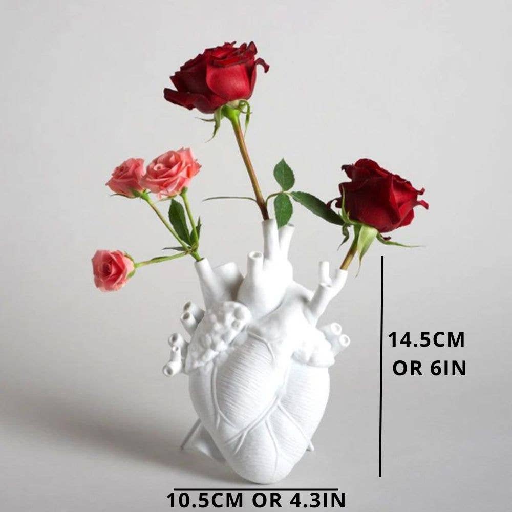 Anatomical Heart Vase: White