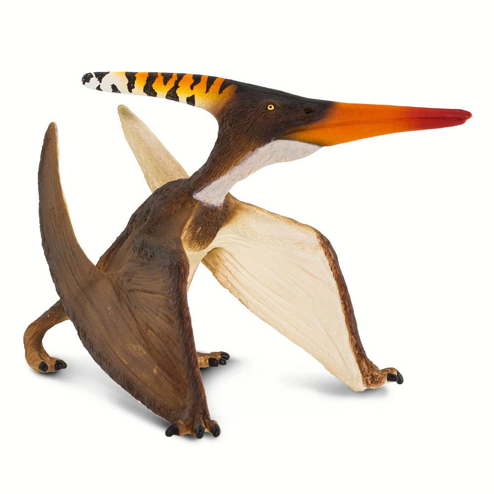 Pteranodon - 100301