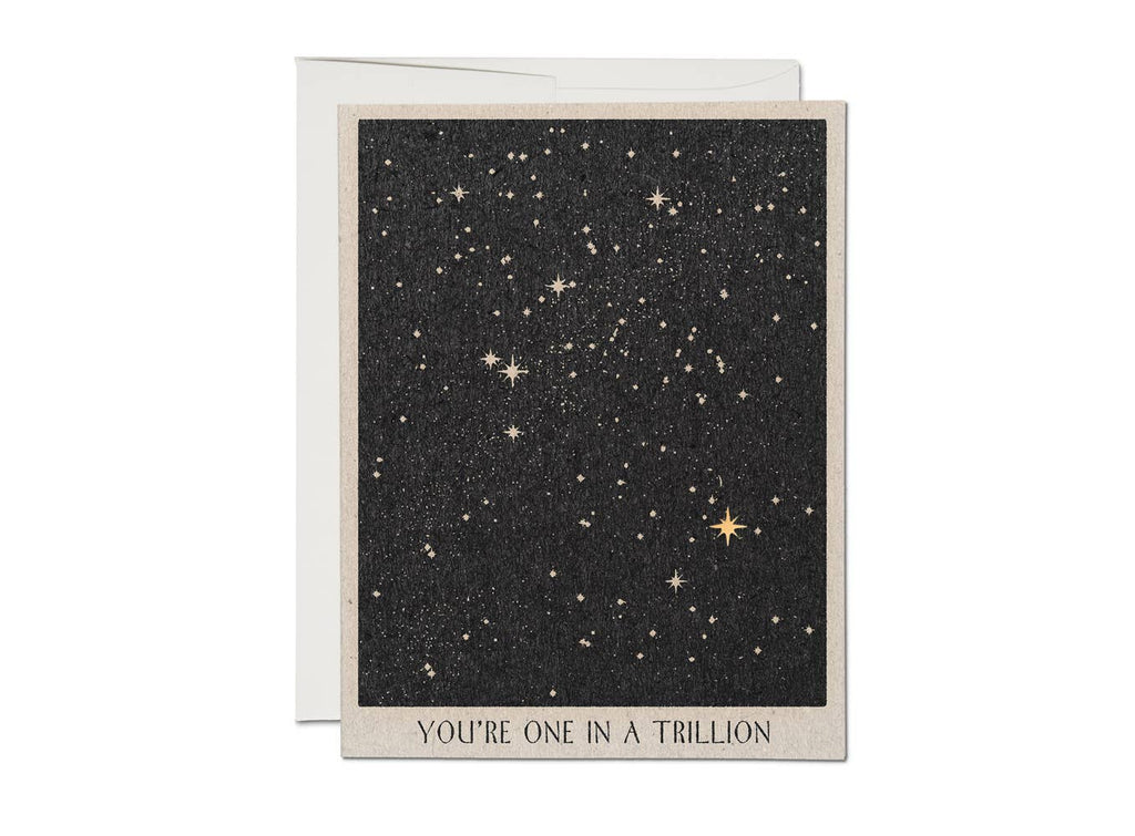 One in a Trillion friendship greeting card