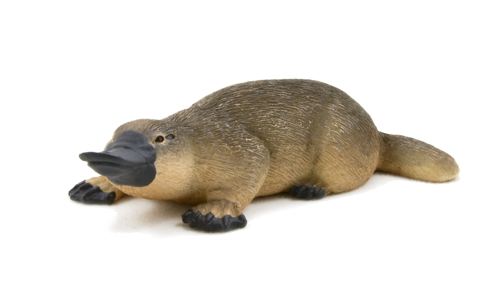 MOJO Duck Billed Platypus