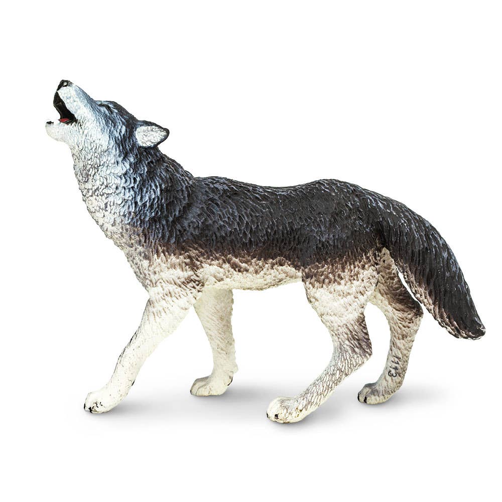 Gray Wolf - 273829