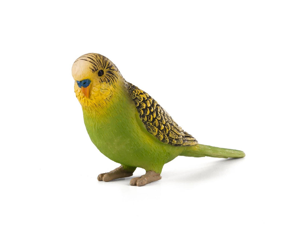 MOJO Budgerigar (Green)