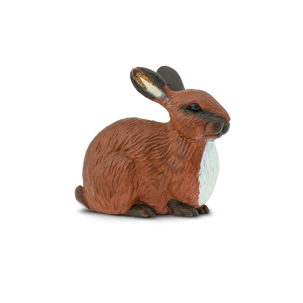 Rabbit - 245429