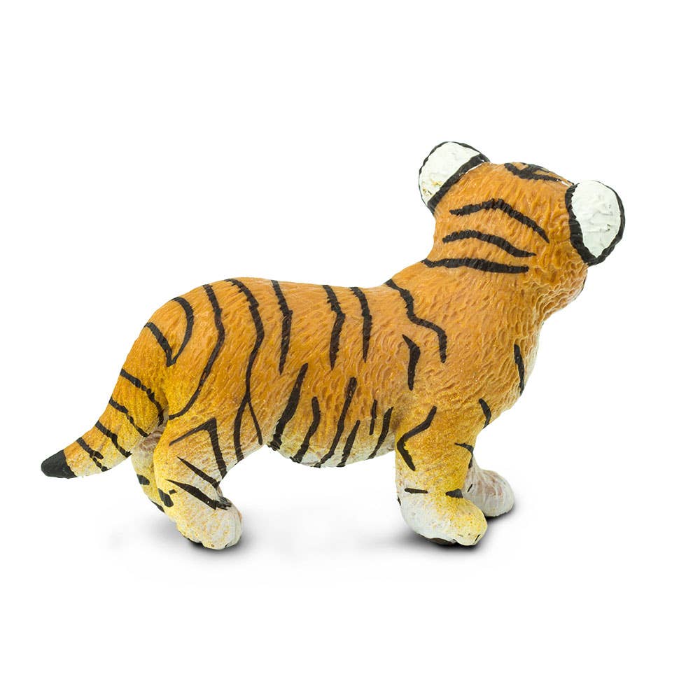 Bengal Tiger Cub - 294929