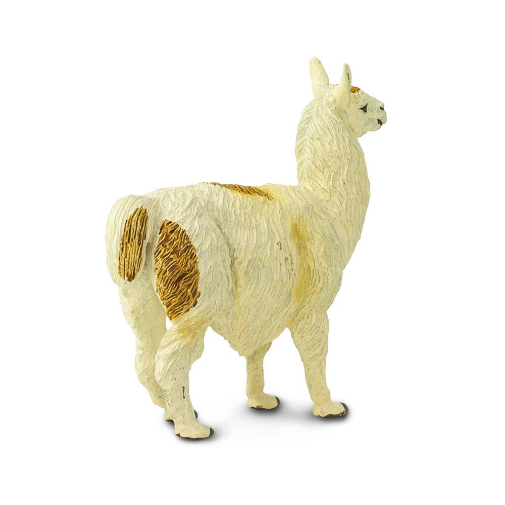 Llama - 227429